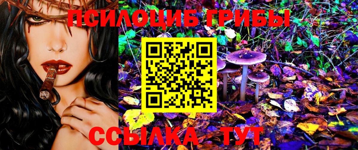 дарнет шоп  Псилоцибиновые грибы ЛСД  Псилоцибиновые грибы MAGIC MUSHROOMS  Вход с VPN  Ейск 