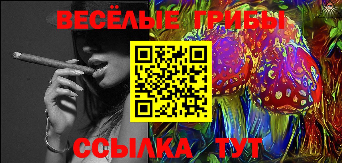 Галлюциногенные грибы Psilocybine cubensis Ейск
